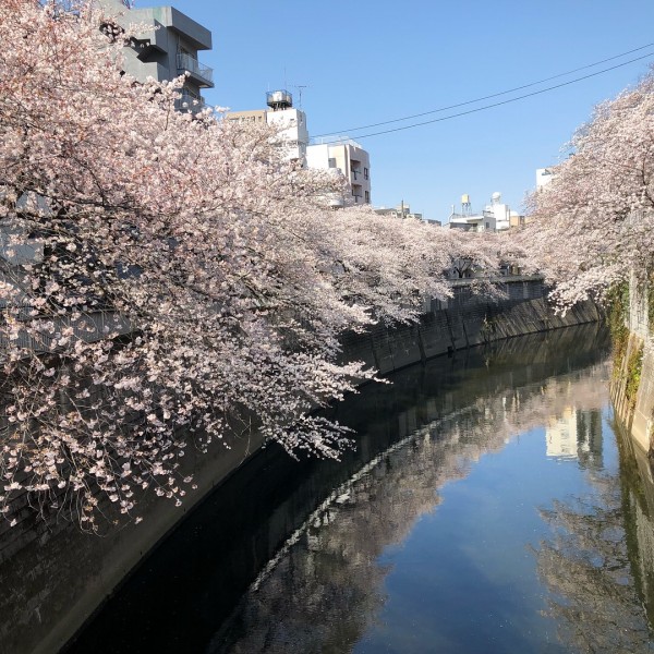 明日から４月！！暖かくなりましたね(^o^)サムネイル