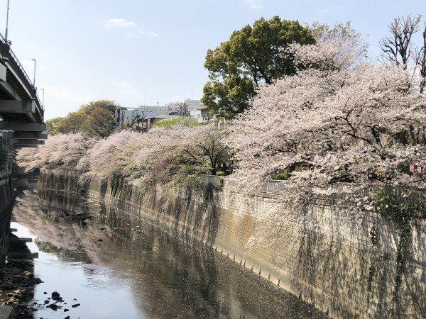 4月の予定です(^-^)サムネイル